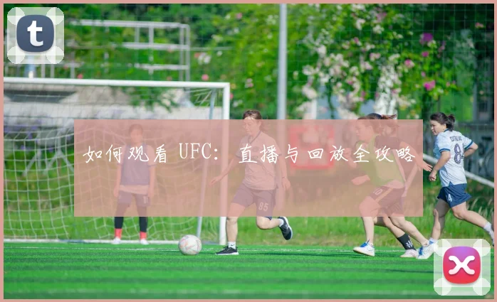 如何观看 UFC：直播与回放全攻略
