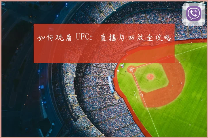 如何观看 UFC：直播与回放全攻略