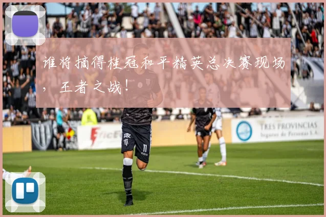 谁将摘得桂冠和平精英总决赛现场，王者之战！